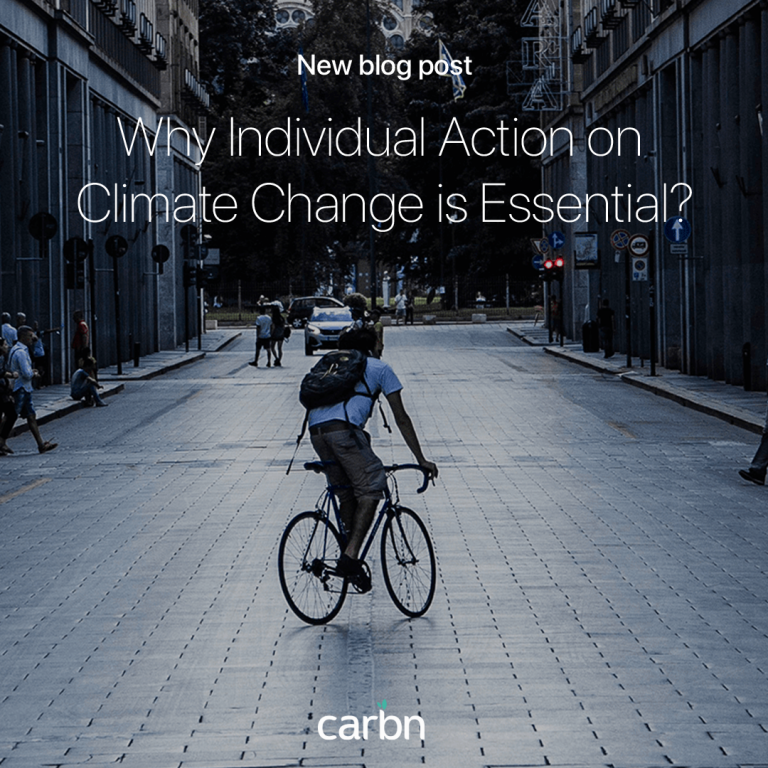 blog post 4