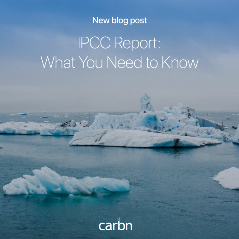 blog post 7