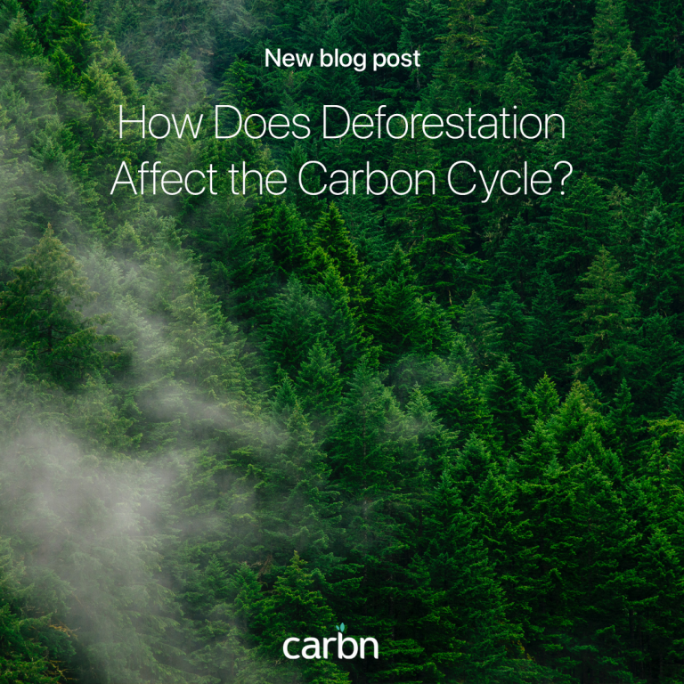 blog post 9