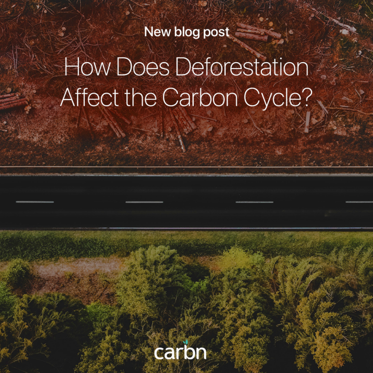 blog posts 13